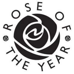 Rosa Scent From Heaven ('Chewbabaluv') (PBR) 6 Rosa Scent From Heaven ('Chewbabaluv') (PBR) -Cheap Tree Sprigs Store pl2000028209 card2 lg