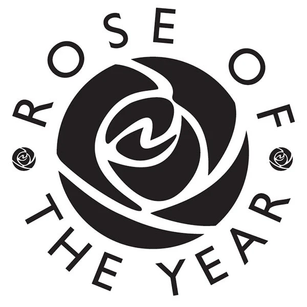 Rosa Scent From Heaven ('Chewbabaluv') (PBR) 4 Rosa Scent From Heaven ('Chewbabaluv') (PBR) - Image 2